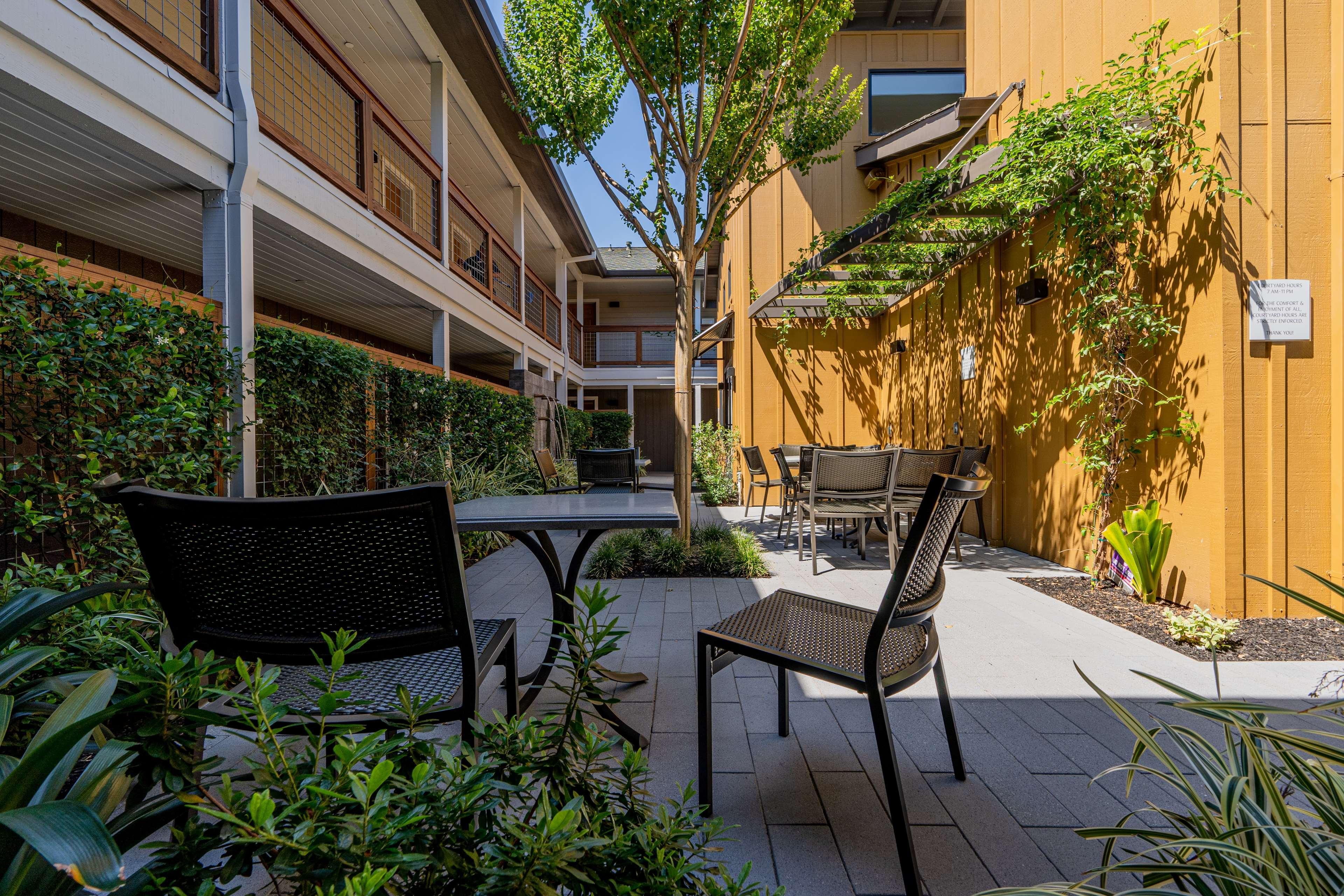 Best Western Plus Stevenson Manor Калистога Екстериор снимка